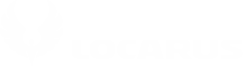 Логотип Locarus